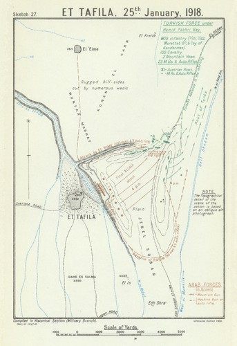 Tafila jan - et, 25